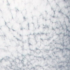 Meet your Posher, Angi